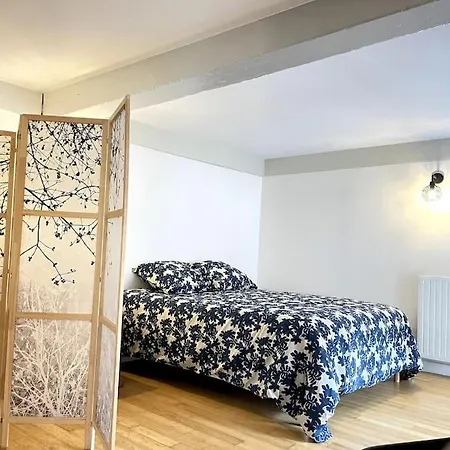 Duplex Avec Terrasse En Hypercentre De Γκρενόμπλ