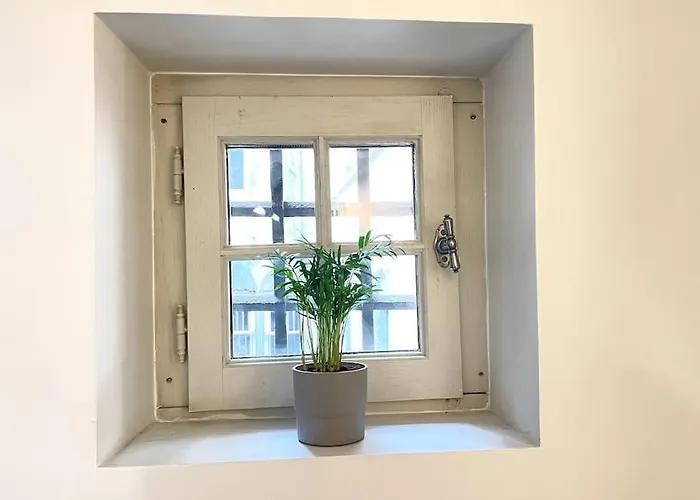 Duplex Avec Terrasse En Hypercentre De Grenoble