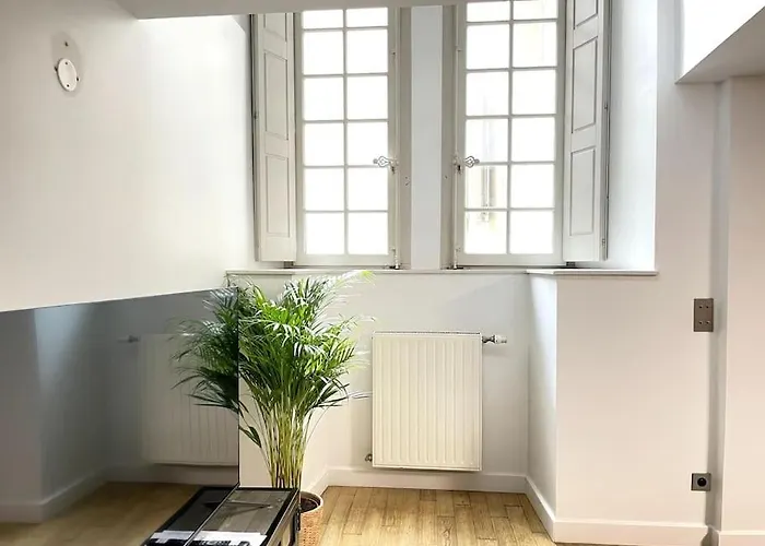 Duplex Avec Terrasse En Hypercentre De Apartamento Grenoble